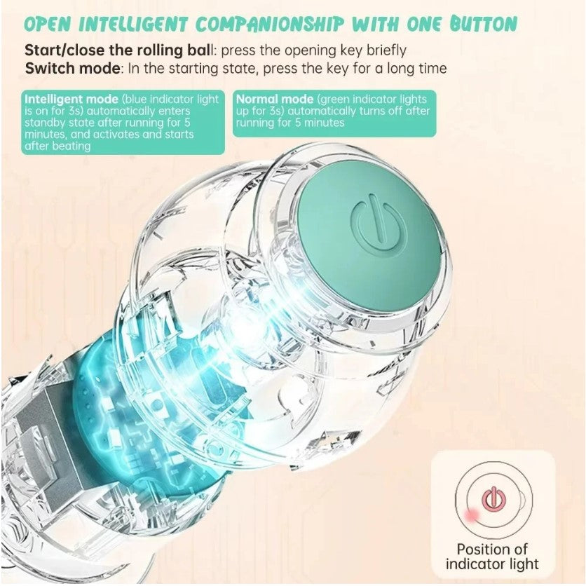 Rechargeable Automatic 360 Degree Pet Rolling Ball - Light Blue