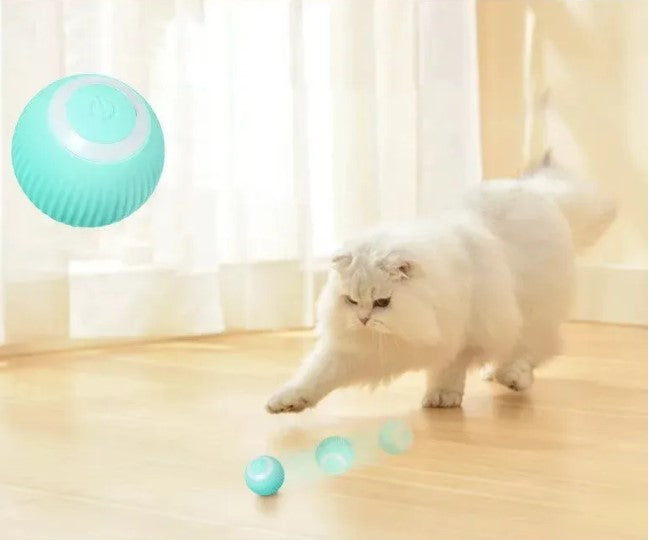 Rechargeable Automatic 360 Degree Pet Rolling Ball - Light Blue