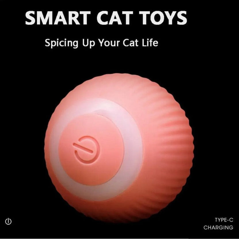 Rechargeable Automatic 360 Degree Pet Rolling Ball - Pink