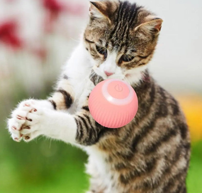 Rechargeable Automatic 360 Degree Pet Rolling Ball - Pink