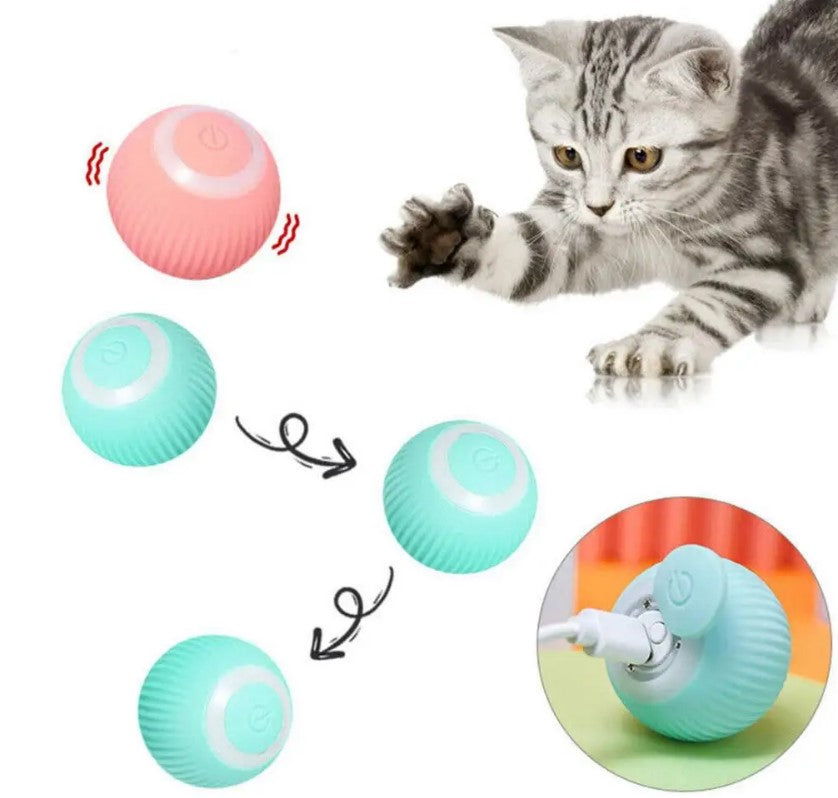 Rechargeable Automatic 360 Degree Pet Rolling Ball - Pink